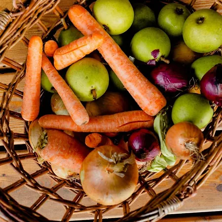 Less Is A Unique 55 Square Meter Experience 칼룬드보르그