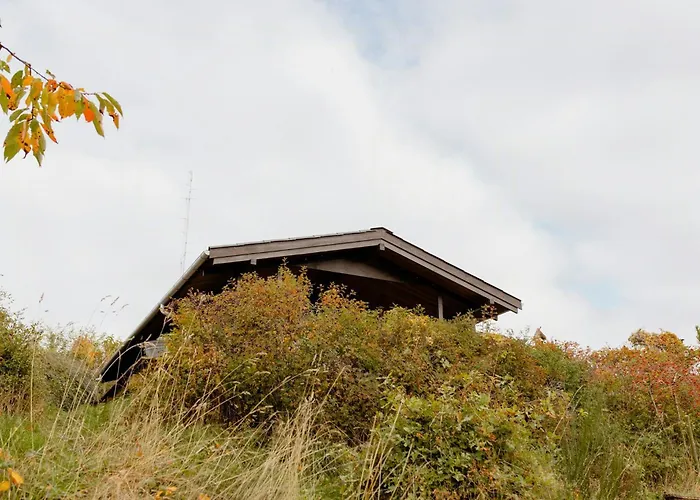 Less Is A Unique 55 Square Meter Experience *