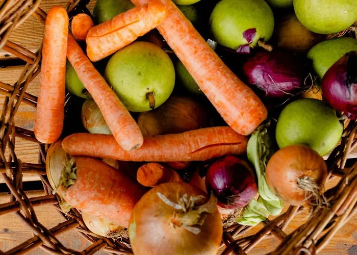 Less Is A Unique 55 Square Meter Experience Kalundborg